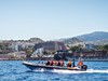 pozorovani_velryb_a_delfinu_klienti_madeira_spurek (2).jpg