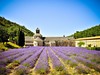 Provence_Senanque_2_Radynacestu_Pavel_Spurek.jpg