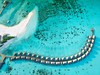 Cocoon Maldives