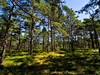 les_Sandhamn_Stockholm