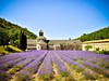 Provence_Senanque_2_Radynacestu_Pavel_Spurek.jpg