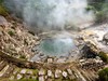Furnas