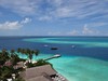 Malahini Kuda Bandos