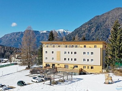 Hotel Stella Alpina ­ Park Hotel San Celso Ski