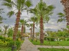 BIENO VENUS HOTEL & SPA #5