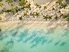 Secrets La Romana Resort & Spa #2
