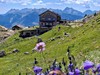 Dolomity