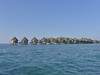 Vodní vilky