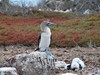 ekvador galapagy 07