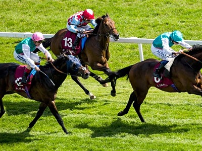 Cheltenham - dostihový festival 2027