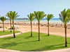 Stella Makadi Beach Resort & SPA #2