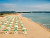 Forest Beach #5