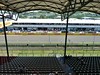 Hungaroring - SuperGold