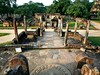 Polonnaruwa