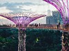 Poznávací zájezd-Malajsie, Singapur-Singapore-Gardens by the bay