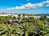 Relaxia Olivina #4