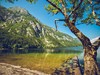 jezero_Bohinj_slovinsko_spurek (2).jpg