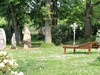 Park hotel - Šumavské lázně