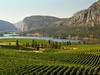 Kanada - vinice v údolí Okanagan, Britská Kolumbie (Dreamstime)