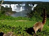 rio iguazu buenos 14