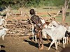 Namibie_chlapec_kmene_Himba.jpg
