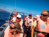pozorovani_velryb_a_delfinu_klienti_madeira_spurek (3).jpg