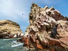 Ostrovy Ballestas