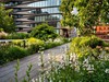 New_York_High_Line_park.jpg