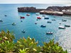 Camara_de_Lobos_madeira_spurek (6).jpg