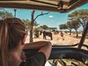safari saadani