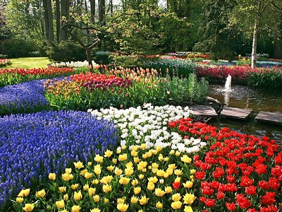 To nejlepší z Amsterdamu + Květinová Zahrada Keukenhof