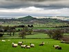 Somerset