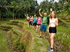 Rýžové terasy Tegalalang na Bali