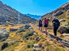 Pyreneje
