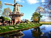 Větrný mlýn v květinovém parku Keukenhof