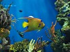 Aquarium de Barcelona